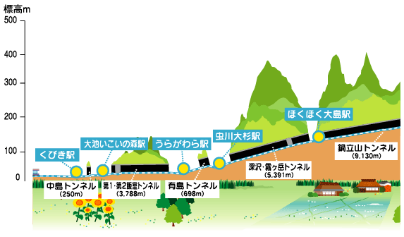 虫川大杉　断面図