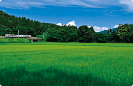 大池いこいの森〜くびき